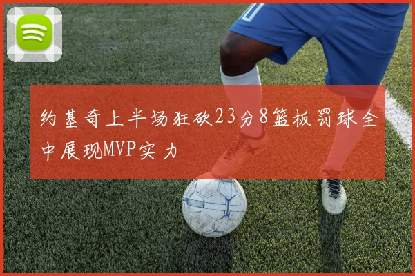 约基奇上半场狂砍23分8篮板罚球全中展现MVP实力