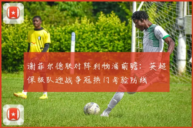 谢菲尔德联对阵利物浦前瞻：英超保级队迎战争冠热门考验防线