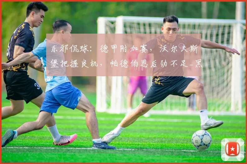 东邪侃球：德甲附加赛，沃尔夫斯堡把握良机，帕德伯恩后劲不足_黑金_赛季_联赛