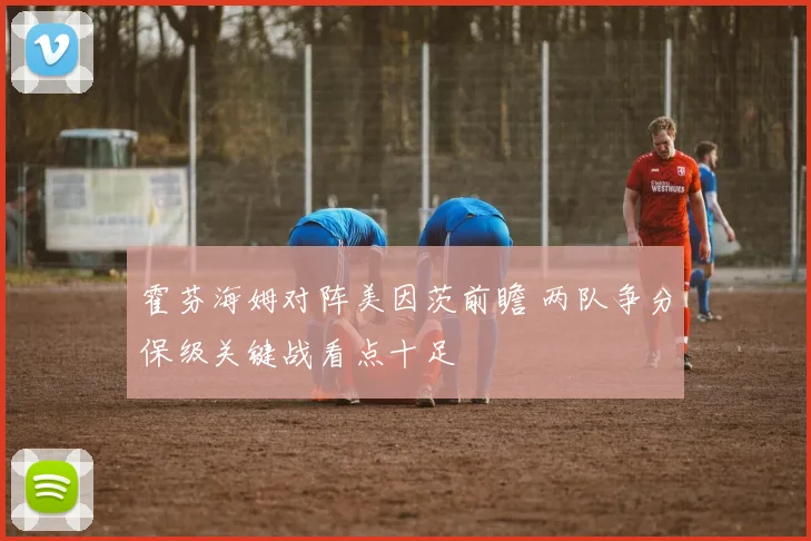 霍芬海姆对阵美因茨前瞻 两队争分保级关键战看点十足